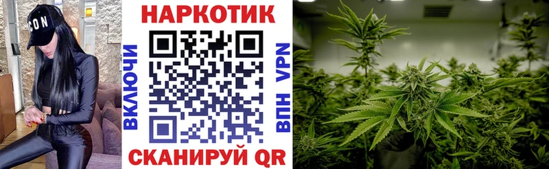 Виды наркотиков купить Горняк Канабис  Меф  Псилоцибиновые грибы  Гашиш 