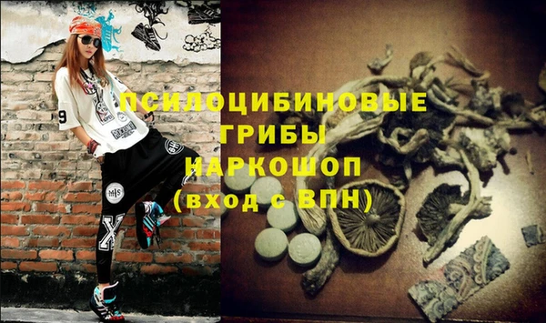 марихуана Белокуриха